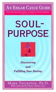 Tapa de Soul Purpose