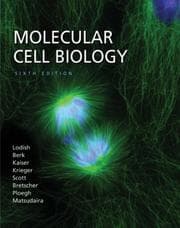 Tapa de Molecular Cell Biology 6e
