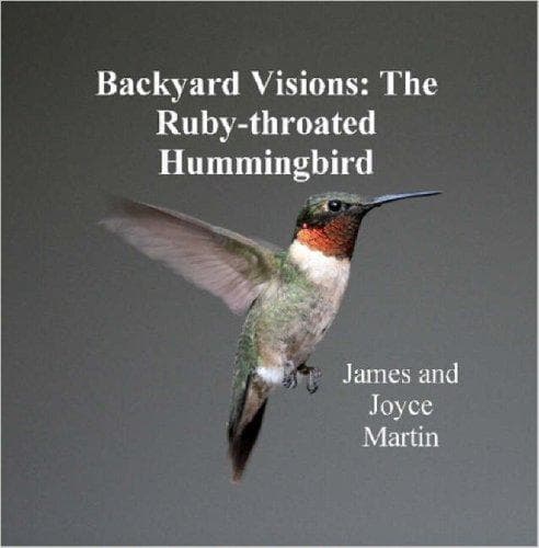 Tapa de Backyard Visions