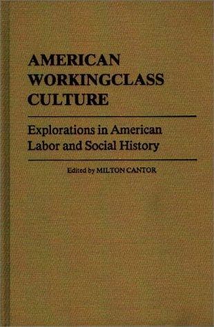 Tapa de American workingclass culture