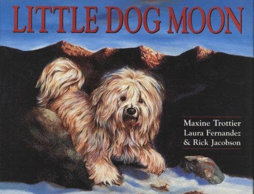 Tapa de Little Dog Moon