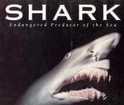Tapa de Shark
