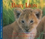 Tapa de Baby Lion (Nature Babies)