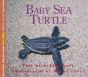 Tapa de Baby Sea Turtle (Nature Babies)