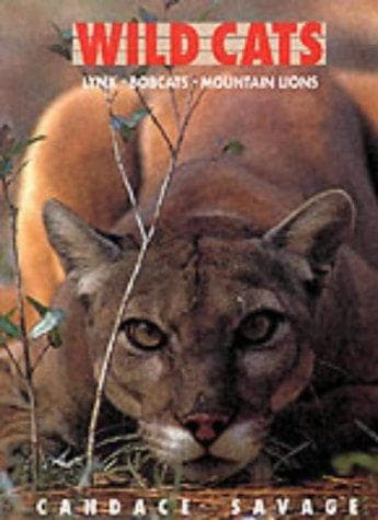 Tapa de Wild Cats
