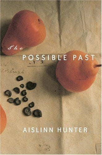Tapa de Possible past