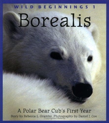 Tapa de Borealis