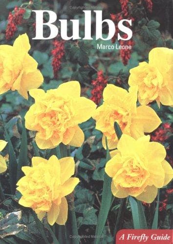Tapa de Bulbs