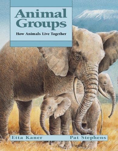 Tapa de Animal Groups