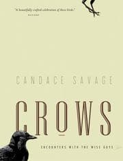 Tapa de Crows