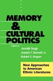 Tapa de Memory and cultural politics