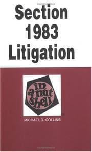Tapa de Section 1983 Litigation in a Nutshell (Nutshell Series)
