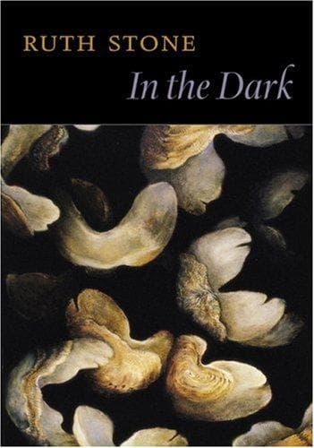 Tapa de In the Dark