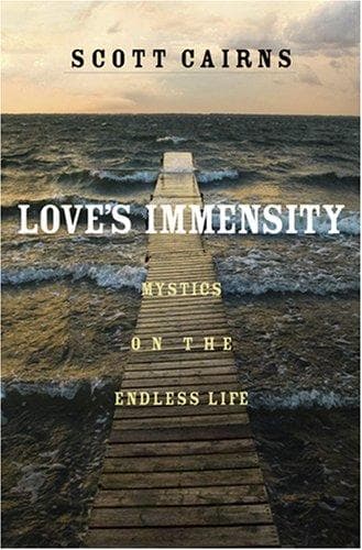 Tapa de Love's immensity