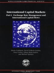 Tapa de International capital markets