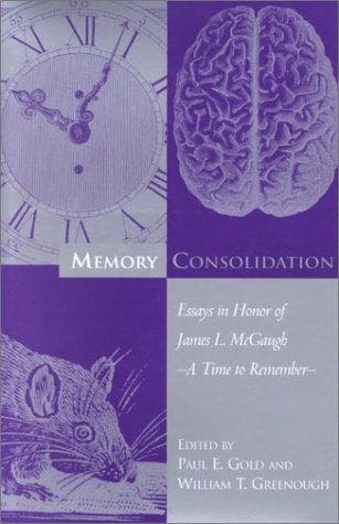 Tapa de Memory consolidation
