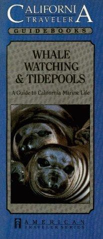Tapa de Whale Watching and Tidal Pools