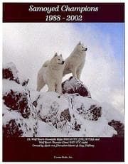 Tapa de Samoyed Champions, 1988-2002