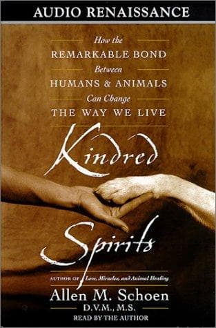 Tapa de Kindred Spirits