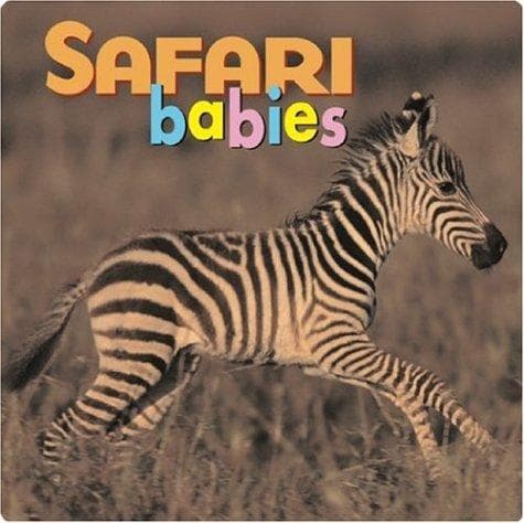 Tapa de Safari babies