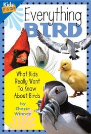 Tapa de Everything Bird
