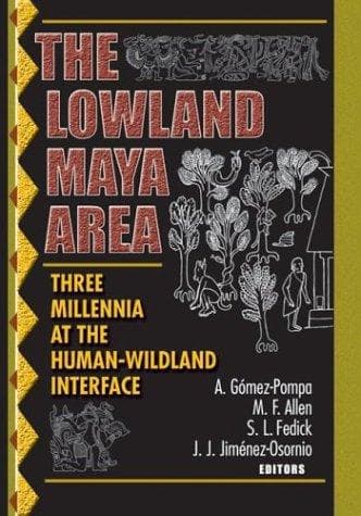 Tapa de Lowland Maya Area