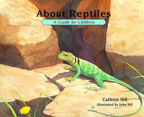 Tapa de About reptiles