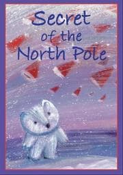 Tapa de The secret of the North Pole