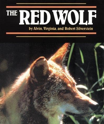 Tapa de The red wolf