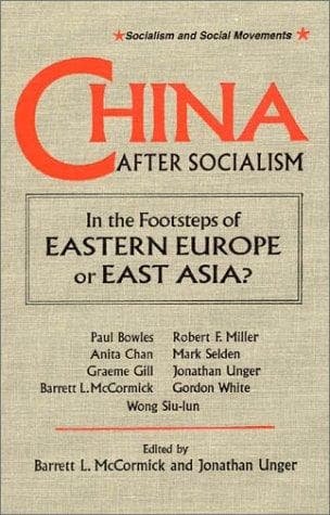 Tapa de China After Socialism