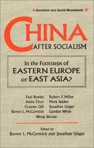 Tapa de China after socialism