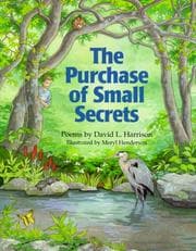 Tapa de The purchase of small secrets