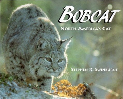 Tapa de Bobcat