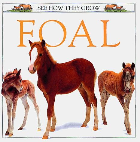 Tapa de See How They Grow