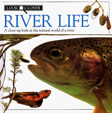 Tapa de River life