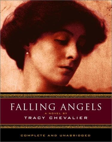 Tapa de Falling Angel
