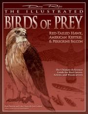 Tapa de The Illustrated Birds of Prey: Red-Tailed Hawk, American Kestrel & Peregrine Falcon