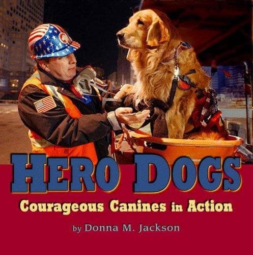 Tapa de Hero Dogs