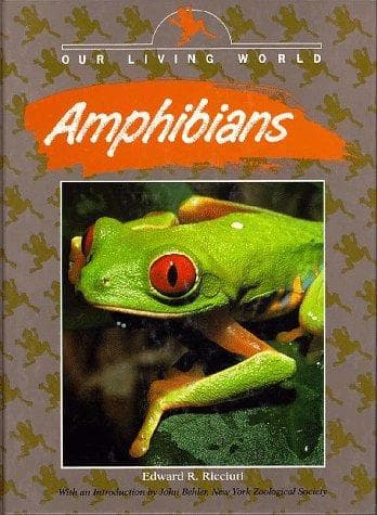 Tapa de Amphibians