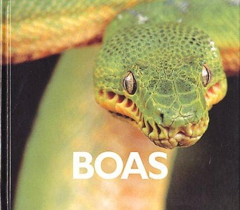 Tapa de Boas
