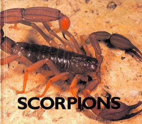 Tapa de Scorpions