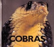 Tapa de Cobras