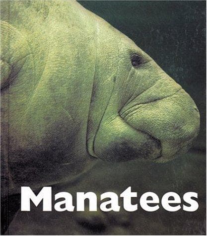 Tapa de Manatees