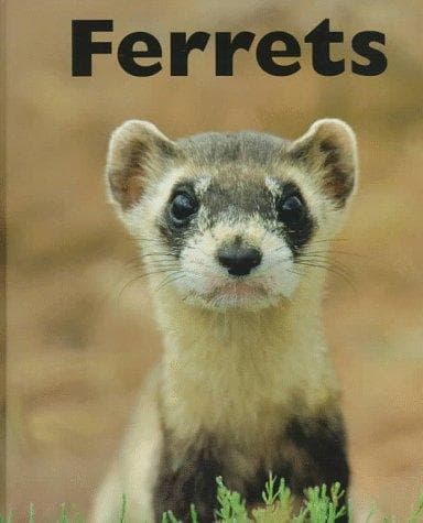Tapa de Ferrets