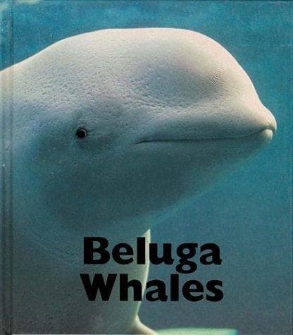 Tapa de Beluga whales