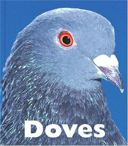 Tapa de Doves