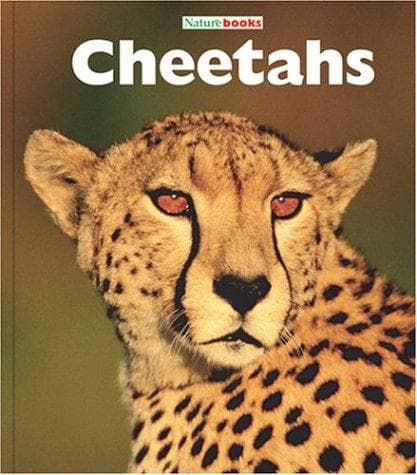 Tapa de Cheetahs
