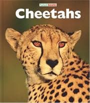 Tapa de Cheetahs