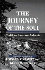 Tapa de The journey of the soul