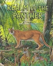 Tapa de Realm of the Panther